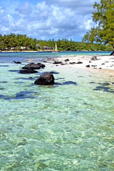 Lagoon beach hínár ház — Stock Fotó