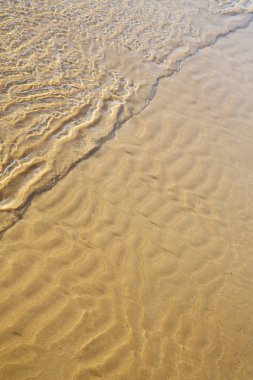 Fas Afrika kahverengi  