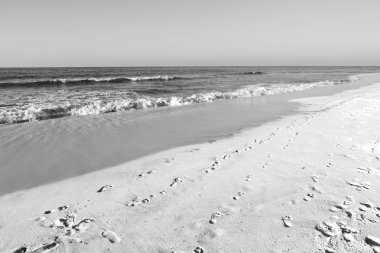 Umman Arapça deniz kumlu plaj  