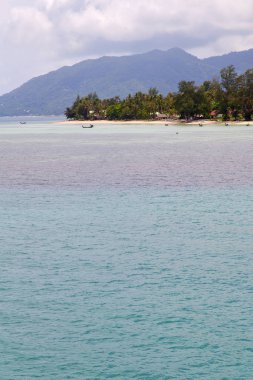  bir yeşil lagün tekne ve ağaç Phangan kıyı şeridi 