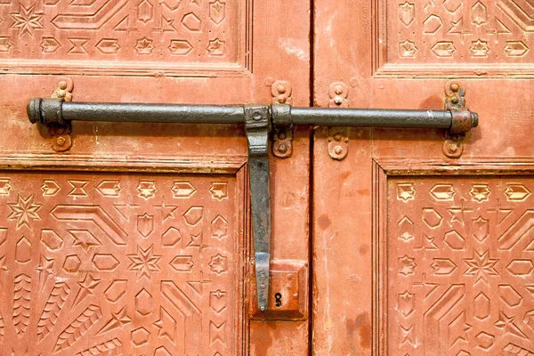 Morocco knocker  africa the brown red — Stock Photo, Image