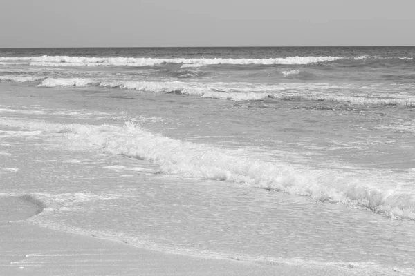 In oman arabic sea   sandy beach — Stock Photo, Image