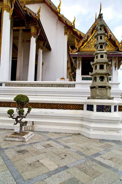 Pavement gold    temple     bangkok  bonsai — Stock Photo, Image