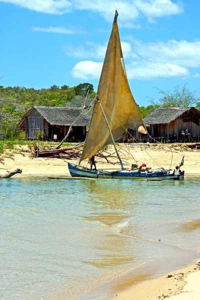 Panamanäset Beach Tång Indiska Oceanen Madagaskar Människor Sand Isle Sky — Stockfoto