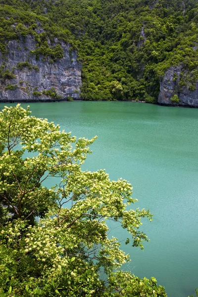 Zuid-Chinese Zee abstract van groene lagune en water — Stockfoto