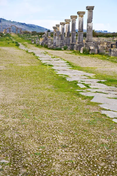 Volubilis i Marocko Afrika gamla romerska sliten monumentet — Stockfoto