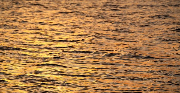 Rpa Morze Ocean Indyjski Streszczenie Złota Fala Zachód Słońca — Zdjęcie stockowe