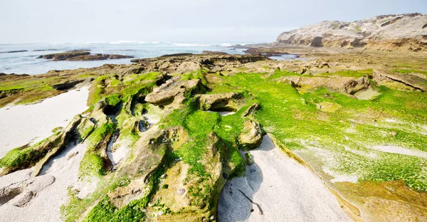 Desenfoque Sudáfrica Cielo Océano Hoop Reserva Naturaleza Rocas —  Fotos de Stock