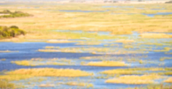 Flou Afrique Sud Étang Lac Isimagaliso Réserve Naturelle Buisson — Photo