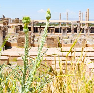 İran Persepolis 'inde eski kalıntılar tarihi anıtlar ve rui