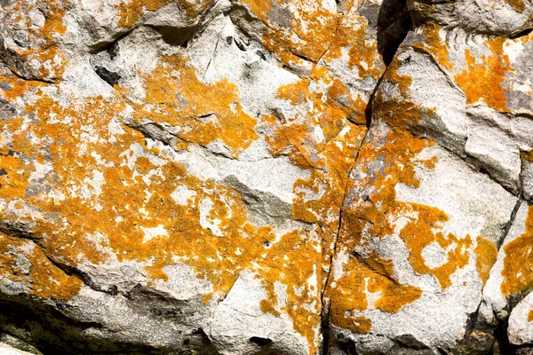 Primer plano de la línea de costa de piedra abstracta — Foto de Stock