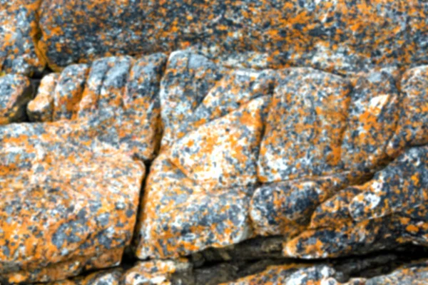 Detailní záběr na pobřeží kámen abstraktní — Stock fotografie