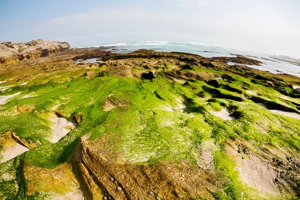 Na África do Sul céu oceano reserva — Fotografia de Stock