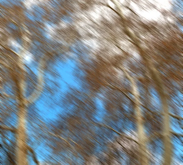 Arbre Fond Lumière Ciel Branche — Photo