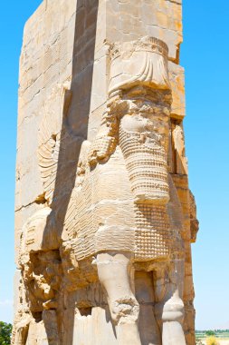 İran persepolis  