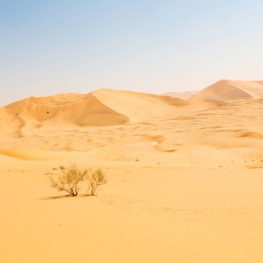 En düşük rub al hali boş çeyrek ve açık Umman eski çöl 