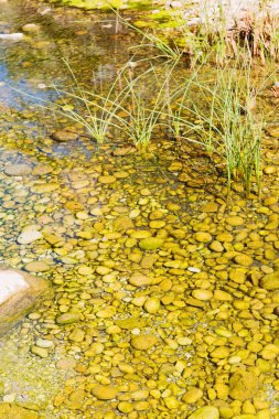 Umman eski nehir ve taş 