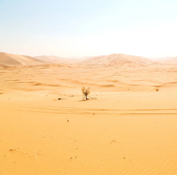 En düşük rub al hali boş çeyrek ve açık Umman eski çöl — Stok fotoğraf