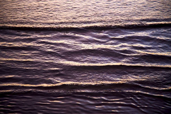 In thailand water south   abstract of a   gold orange line — Stock Photo, Image