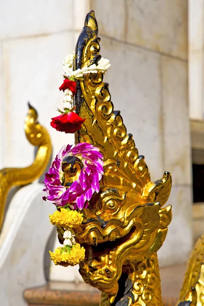 Nel Tempio Bangascar Asia Thailandia Astratto Croce Passo Wat Palazzi — Foto Stock