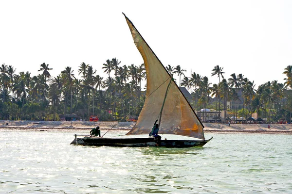 Içinde Zanzibar yosun Hint Okyanus ve yelken — Stok fotoğraf