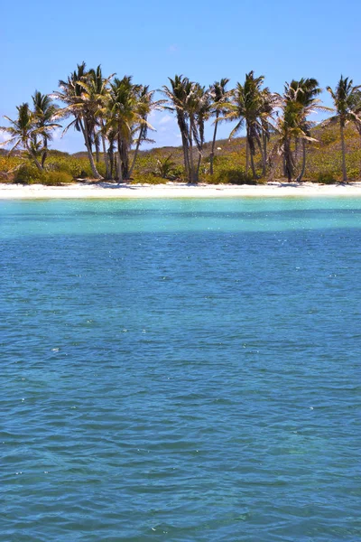 Isla contoy Mexiko froath a modrá pěna — Stock fotografie