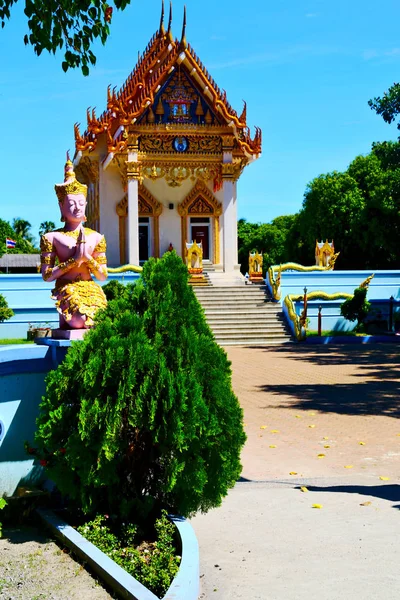 Kho samui bangkok tailândia incisão da árvore — Fotografia de Stock