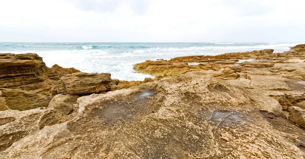 In south africa   sky ocean  nature    reserve — Stock Photo, Image