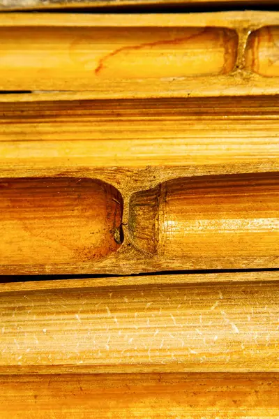 Thailand abstract cross bamboo   the — Stock Photo, Image