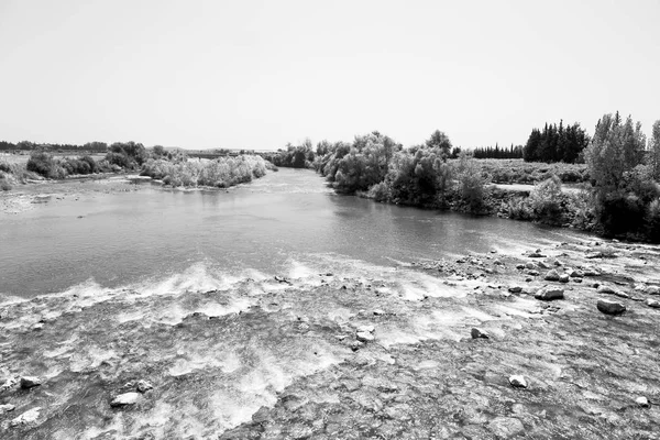 Près de la rivière et de la nature — Photo