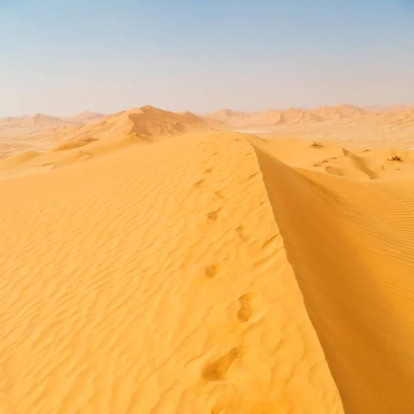 在阿曼老沙漠 rub 鲁卜哈利沙漠空季和室外 s — 图库照片