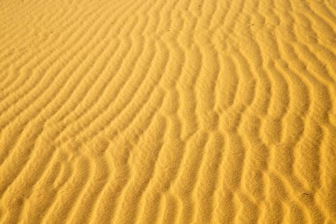 Afrika kahverengi kumul sahara Fas çöl doğrultusunda