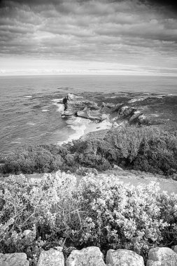   Güney Afrika kıyı şeridi ve doğal park rezerv