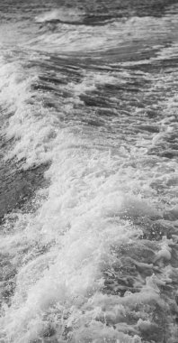 Pasifik Okyanusu arka plan bulanıklık 