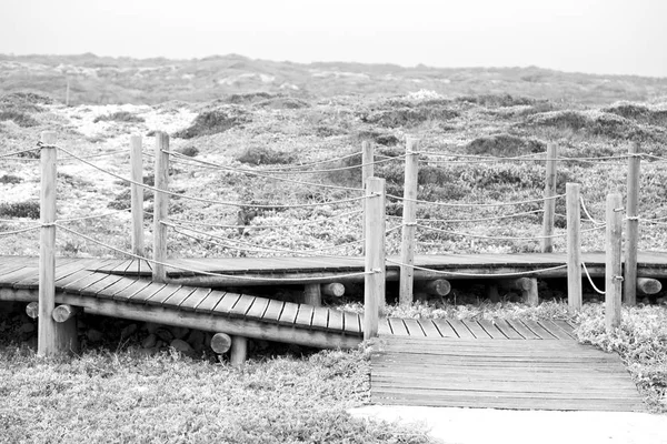 En Sudáfrica pasarela de la playa cerca del océano Índico —  Fotos de Stock
