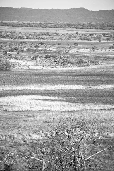 Onscherpte Zuid Afrika Vijver Lake Isimagaliso Nature Reserve Bush — Stockfoto