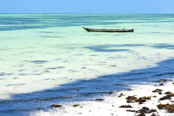 Plaj zanzibar deniz yosunu okyanus Tanzanya — Stok fotoğraf