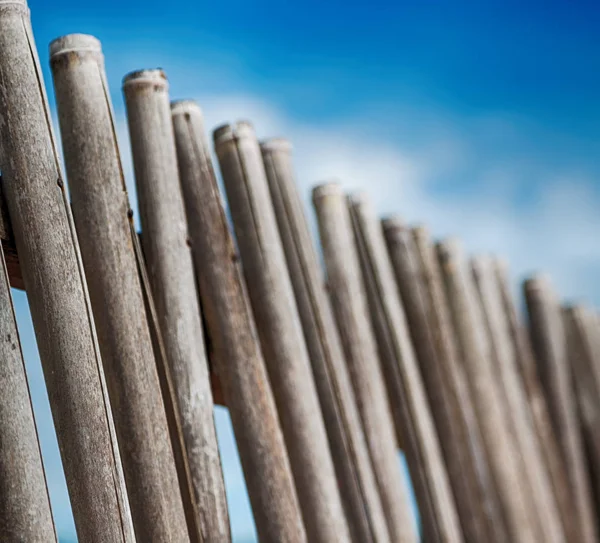 Bir bulutlu gökyüzü çok bambu stick doğal çit için — Stok fotoğraf