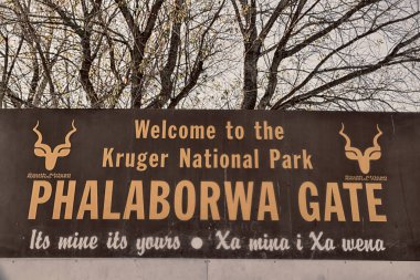   Güney Afrika kapı sinyal girişi  