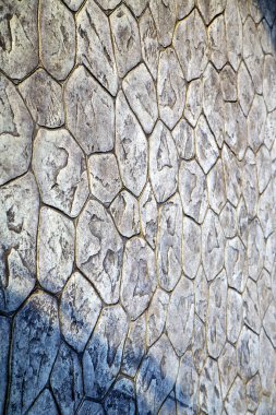 gri Asya bangkok Tayland Soyut taş adım çapraz