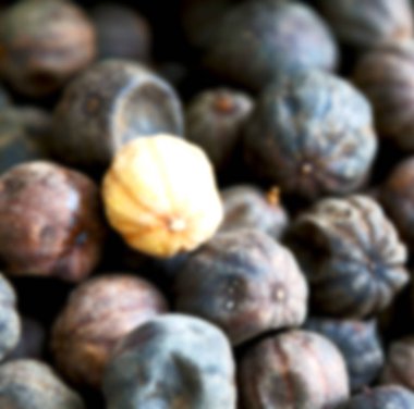 İran'da soyut desen arka plan lezzet ve aroma tipik kuru limon bulanıklık