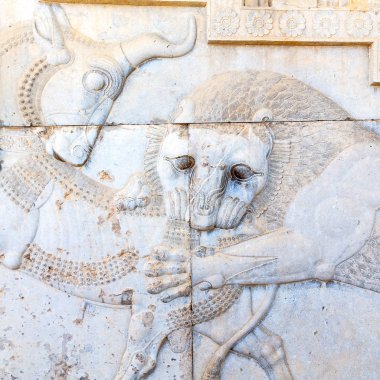 İran persepolis