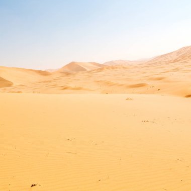 Umman 'daki boş çeyrek ve açık kum tepeciği eski çölde Al Khali' yi ovala 