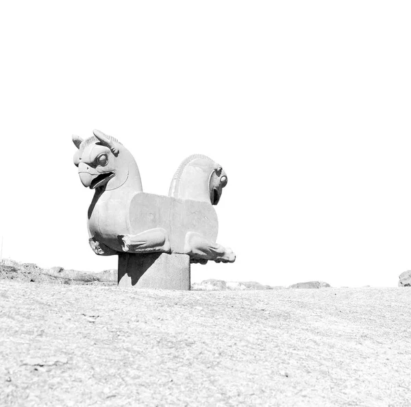 Sfocatura Iran Persepolis Rovine Antiche Meta Storica Monumenti Rui — Foto Stock