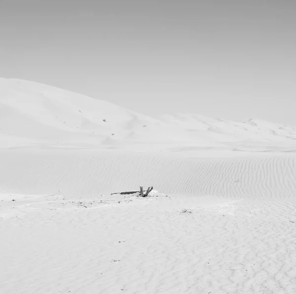 Barrio Vacío Duna Arena Aire Libre Oman Viejo Desierto Frotar — Foto de Stock