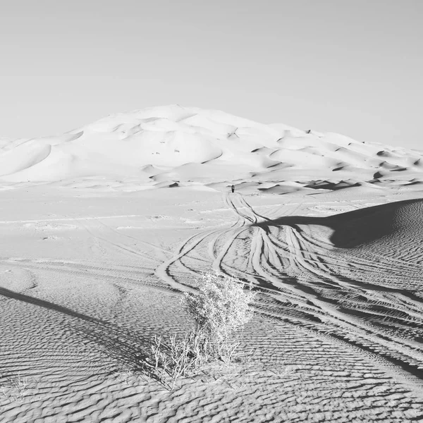 Quarto Vazio Duna Areia Livre Oman Velho Deserto Esfregar Khali — Fotografia de Stock