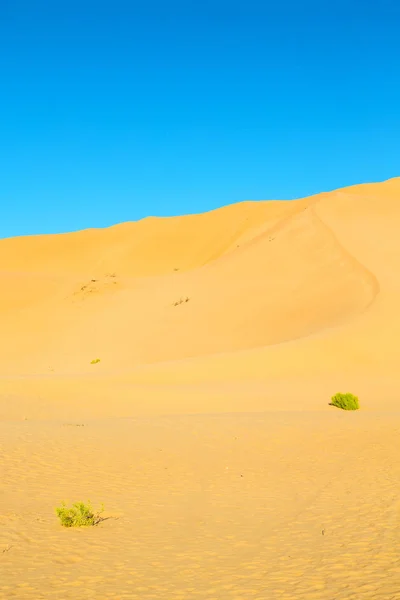 Dunes Verticales Désert Sous Ciel Bleu Clair Dans Oman Frotter — Photo