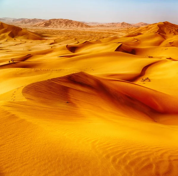 Plan Carré Dunes Sable Pittoresques Dans Oman Frotter Khali — Photo