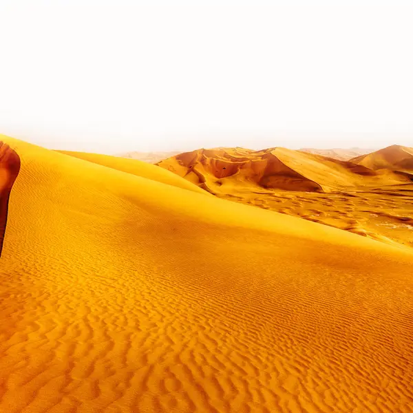 Paesaggio Tranquille Dune Sabbiose Oman Strofinare Khali — Foto Stock