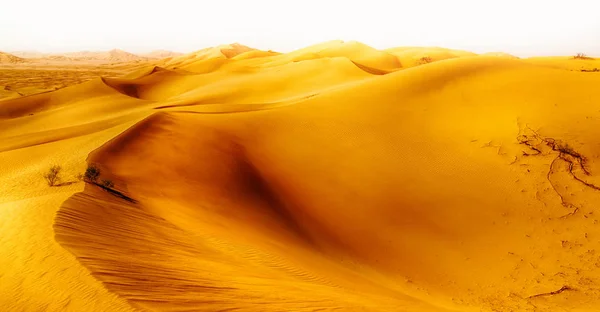 Paysage Belles Dunes Sable Dans Oman Frotter Khali — Photo